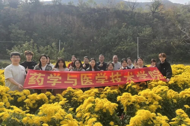 【药学与医学技术学院】我校药学与医学技术学院师生到新密中药材种植基地开展菊花采摘活动