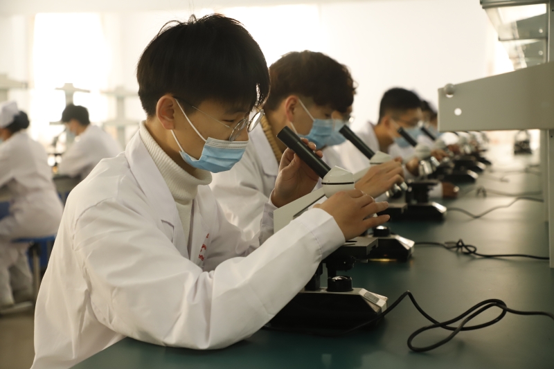 组织切片的观察(1).JPG